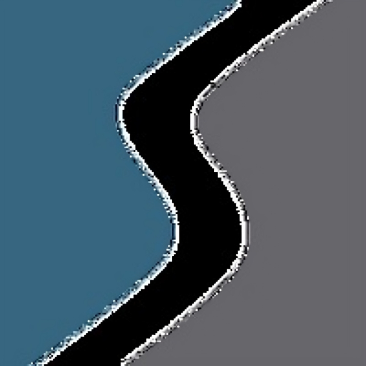 SRS Real Estate Partners - Chicago Logo